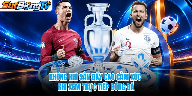 Không khí sân đẩy cao cảm xúc khi xem trực tiếp bóng đá